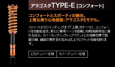 Aragosta/アラゴスタ TYPE-E（コンフォート） ピロアッパー仕様 マーク