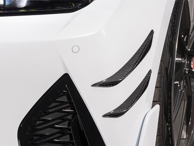 LEXUS IS 30系(2020.11-) F SPORT BLACK LABEL フロントカナード FRP製